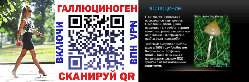 Галлюциногенные грибы Psilocybine cubensis  купить наркотики сайты  Бабушкин 