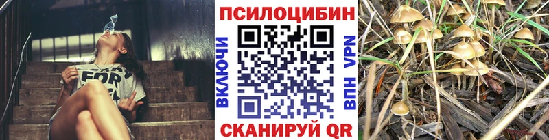 Галлюциногенные грибы Psilocybe Бабушкин